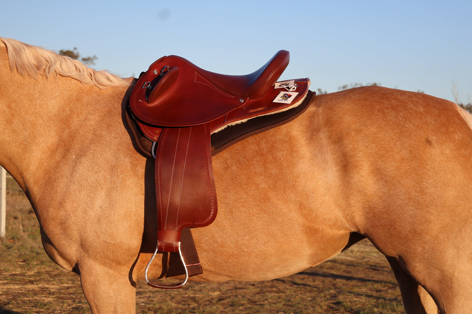 Saddles
