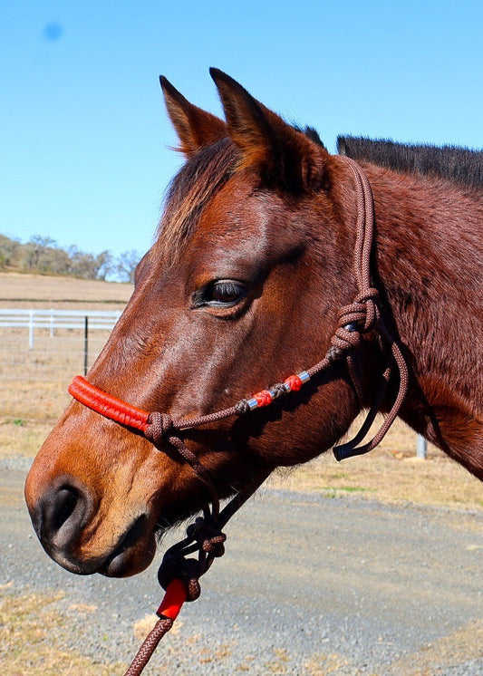 Brown & Red Rope Halter with Silver Beads