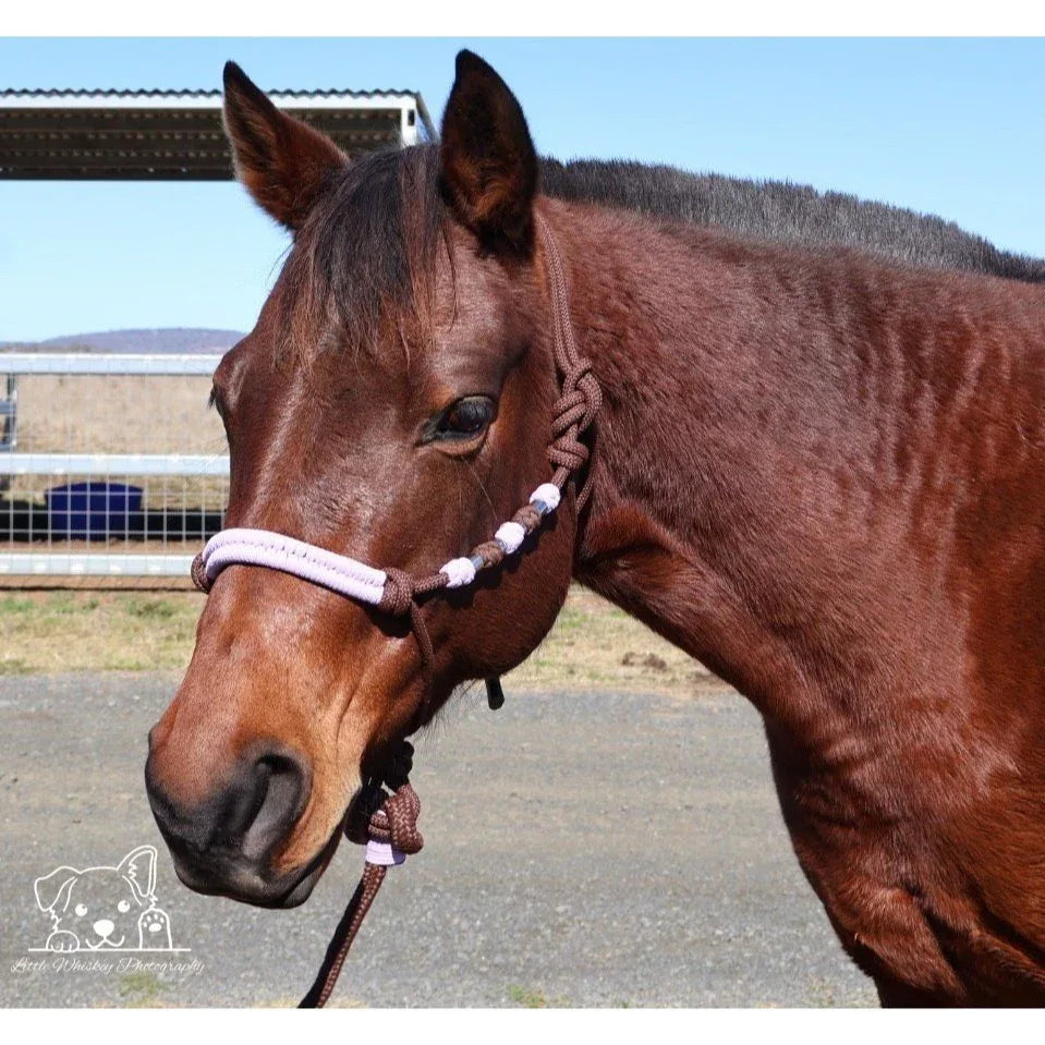 Brown & Lilac Rope Halter - Feral Pony