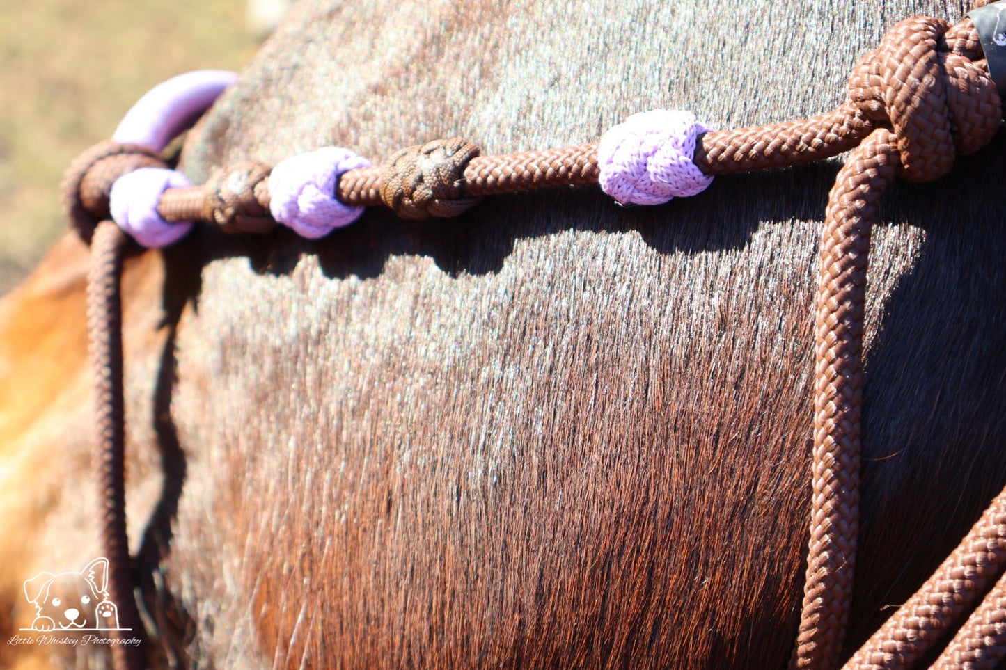 Brown & Lilac Rope Halter