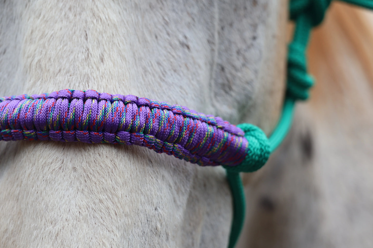 Green Rope Halter with Purple Nose Braid πππ - Feral Pony