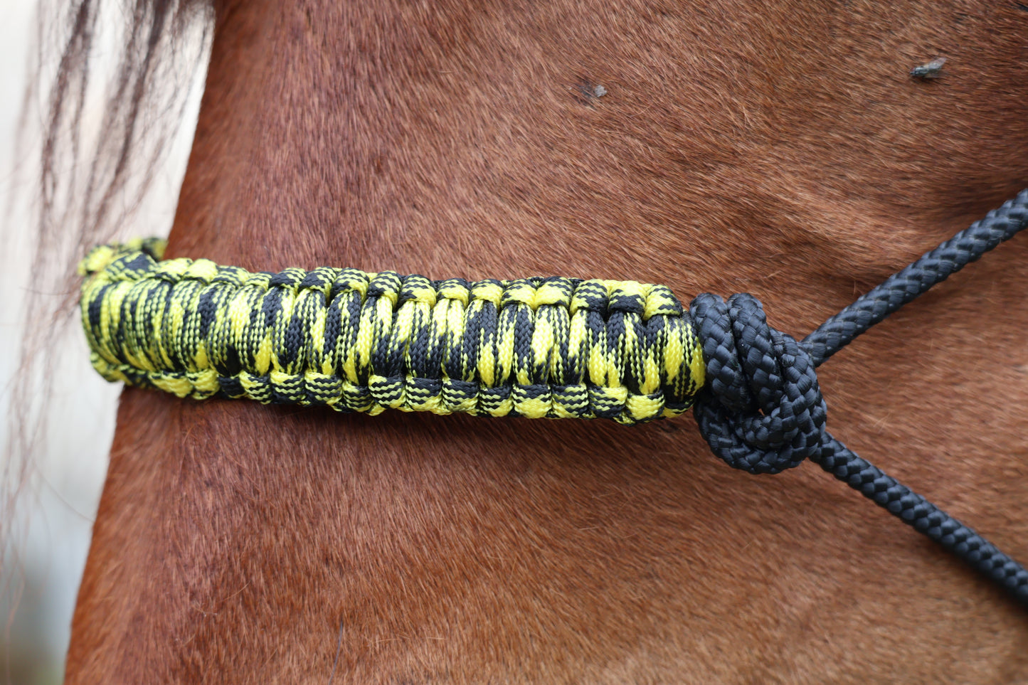 True Stiff Halter with Yellow & Black Nose Band - Feral Pony