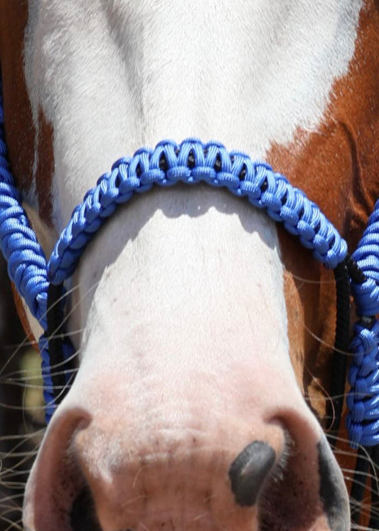 Indian Bosal - Blue - One Off Piece - Feral Pony