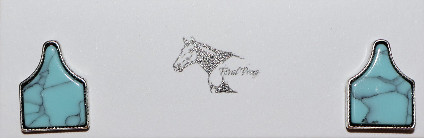 Turquoise Cattle Tag Earrings