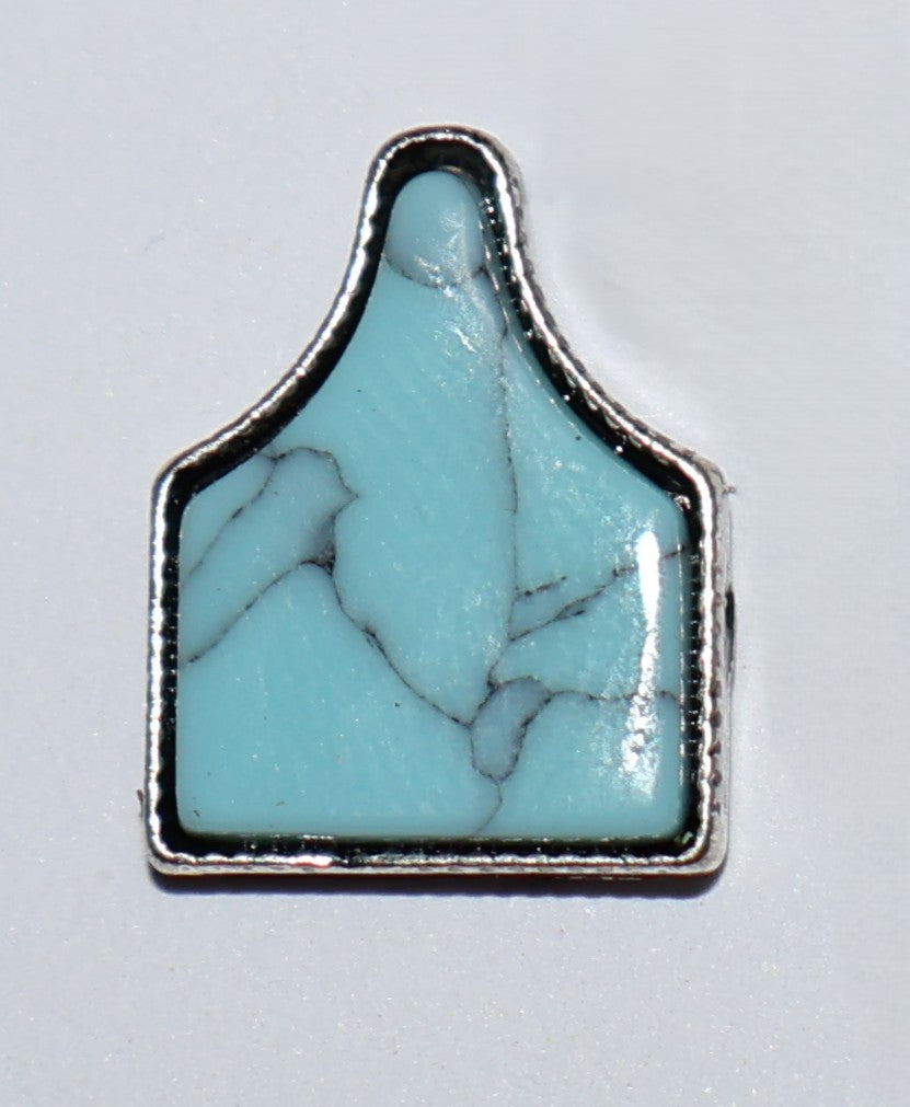 Turquoise Cattle Tag Earrings