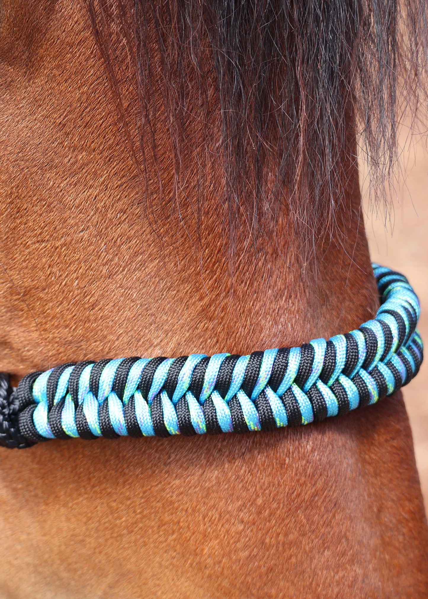 Black Rope Halter with Blue & Black Braid 🩵 🖤 - Feral Pony