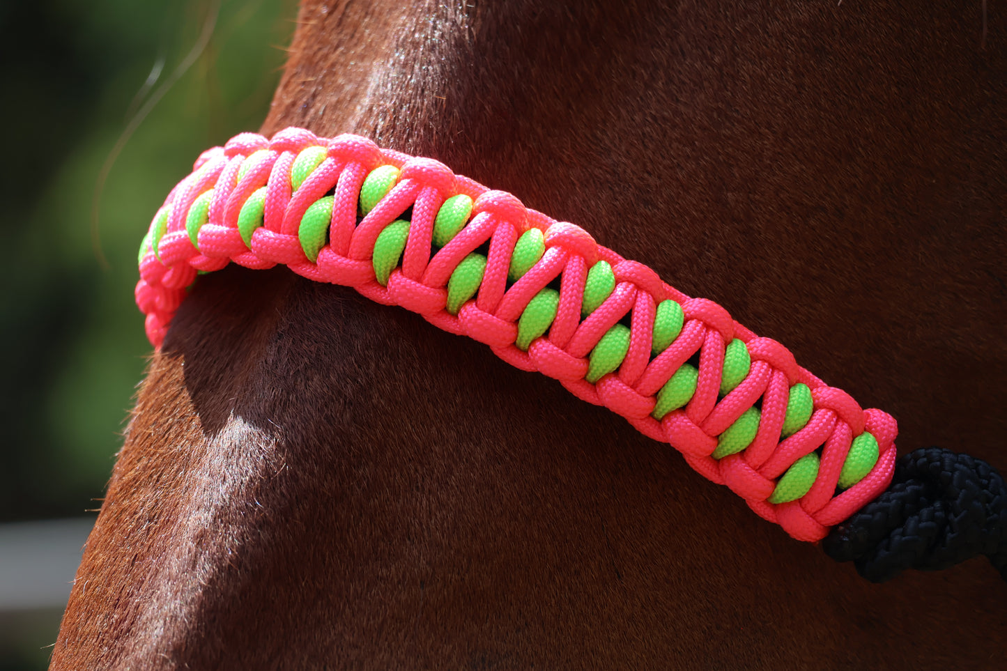 True Stiff Halter with Neon Pink and Neon Green Braid - Feral Pony