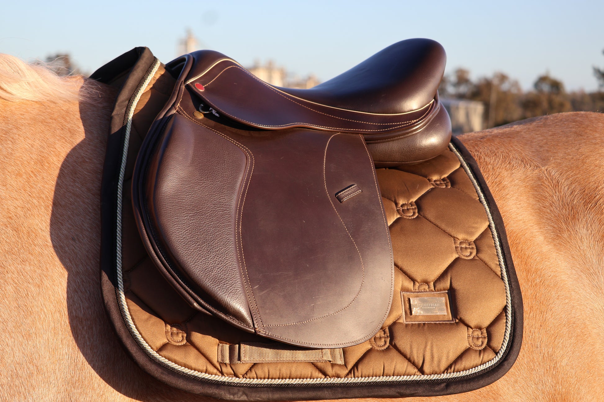 Brown leather saddle on a horse with a blurred background