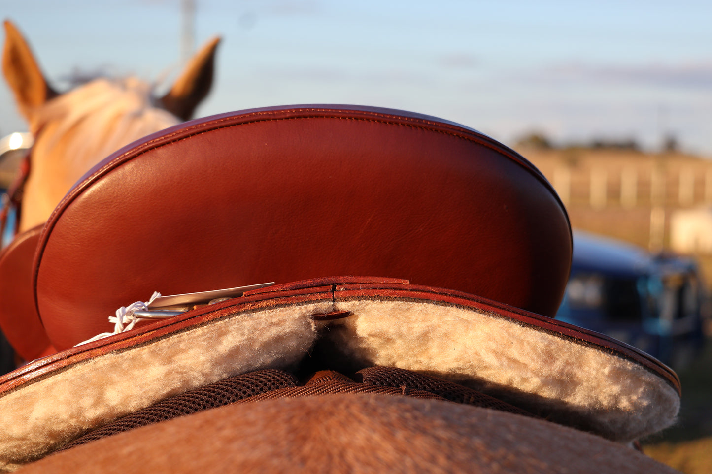 Close-up of a brown leather saddle on a horse with a blurred background
