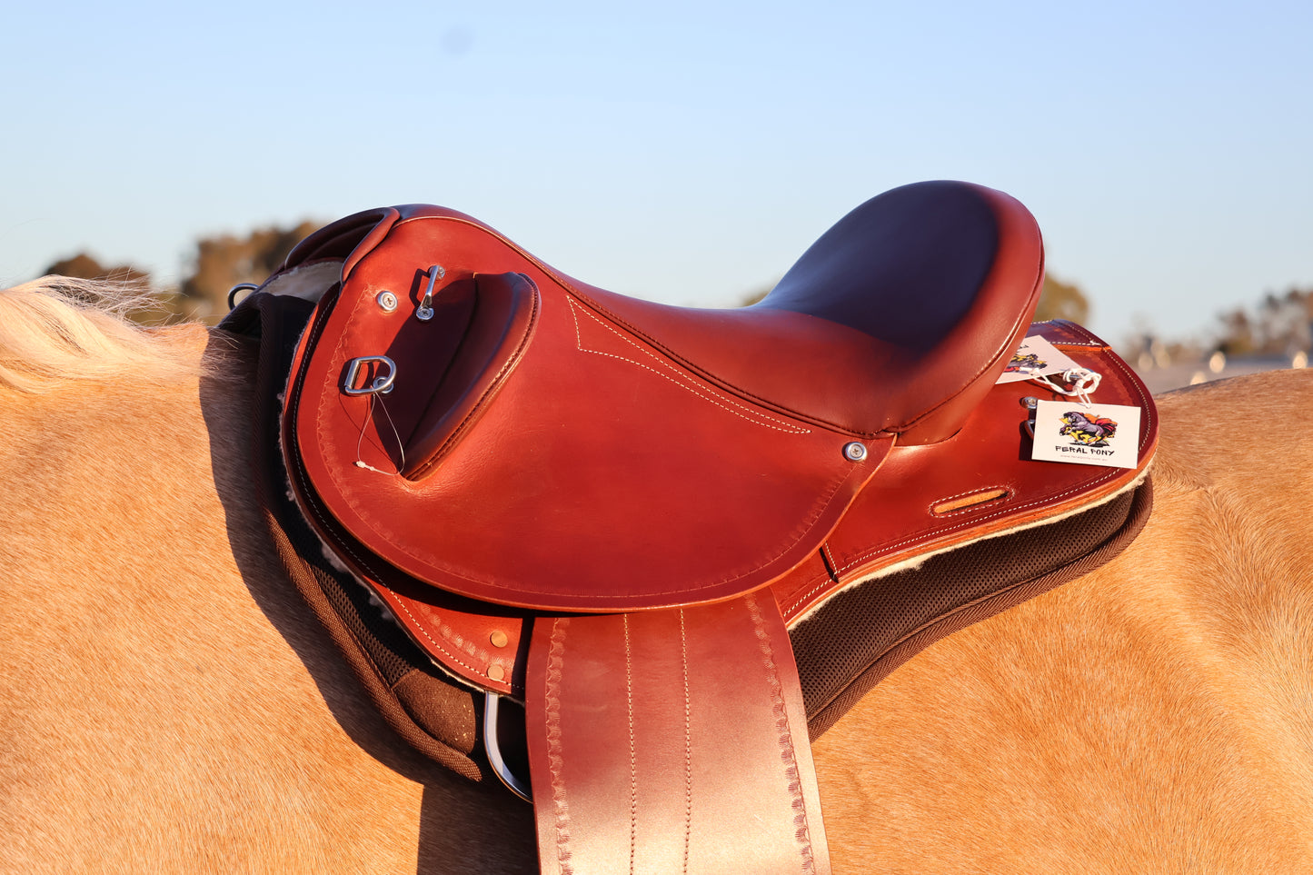 Brown leather saddle on a horse with a blurred natural background