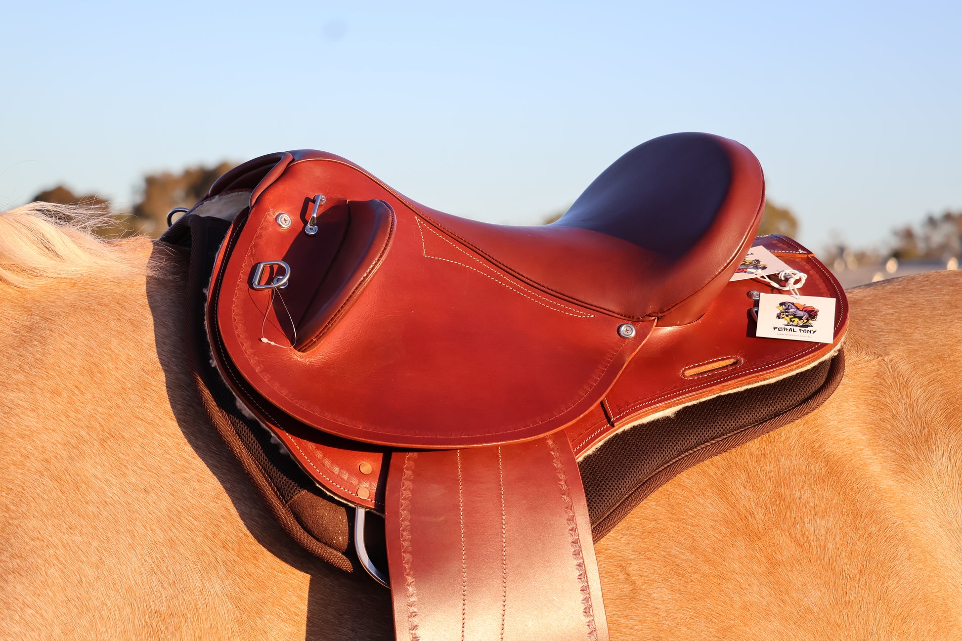 Brown leather saddle on a horse with a blurred natural background