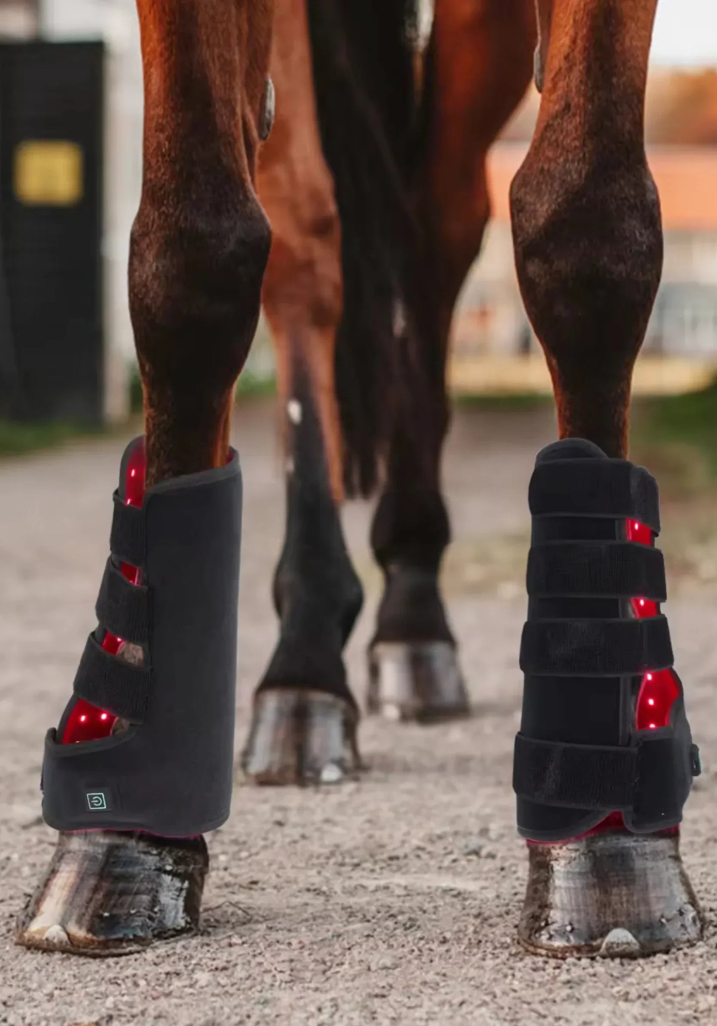 ππSALEππ LED Tendon Wrap - PAIR