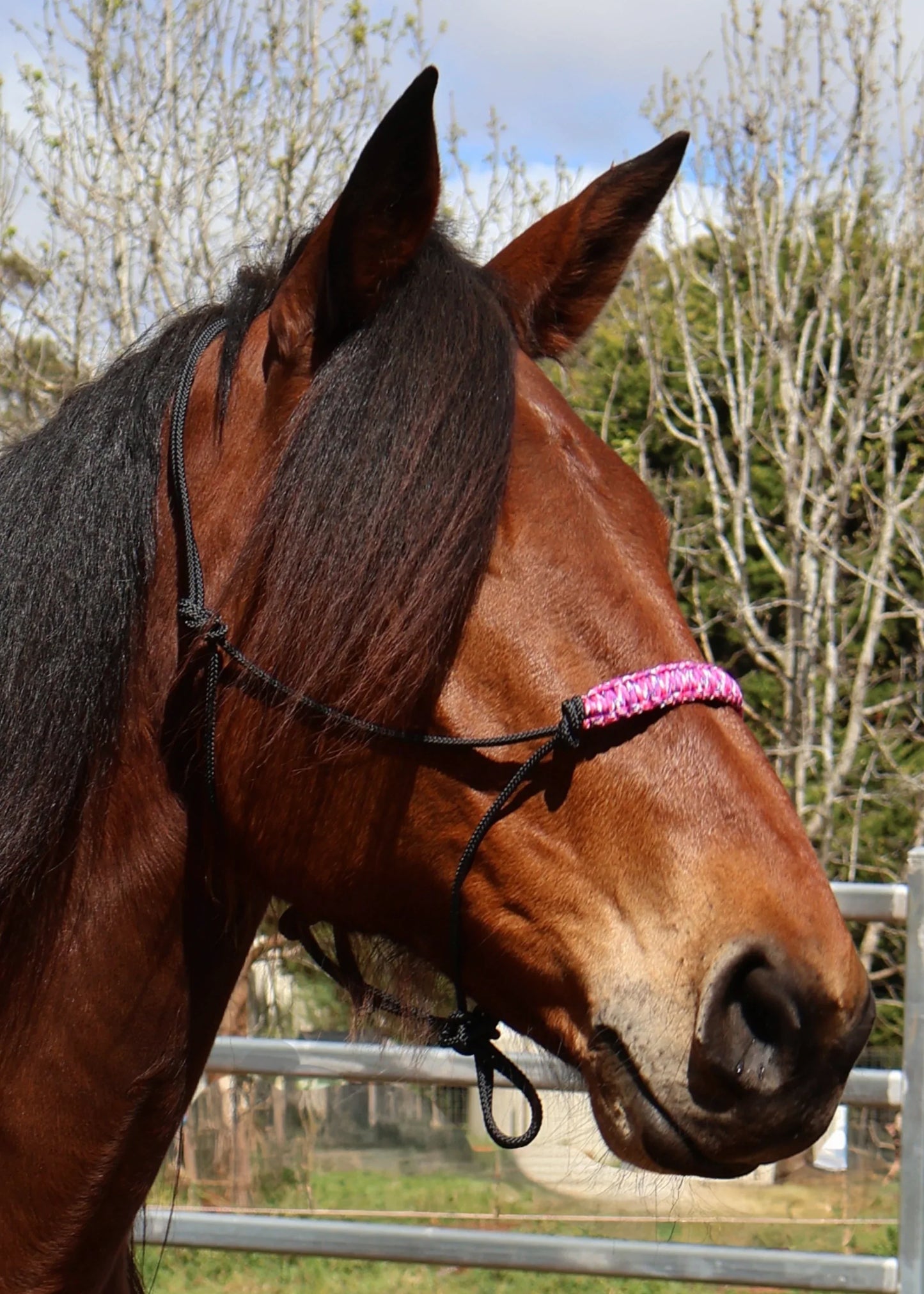 True Stiff Halter with Pink Nose Braid - Feral Pony