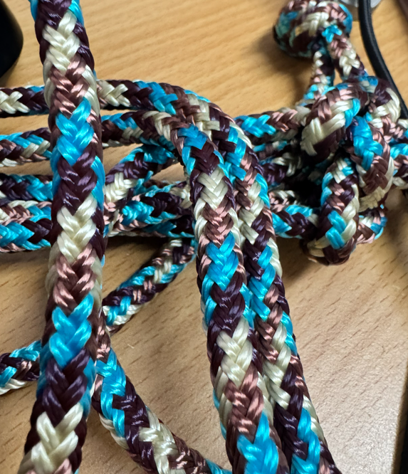 Appaloosa, Cream, Blue, Brown - Rope Halter