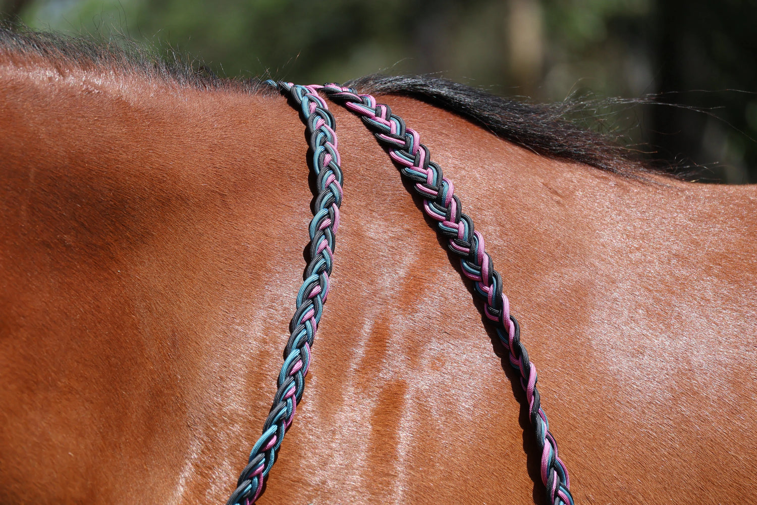 Reins - Feral Pony