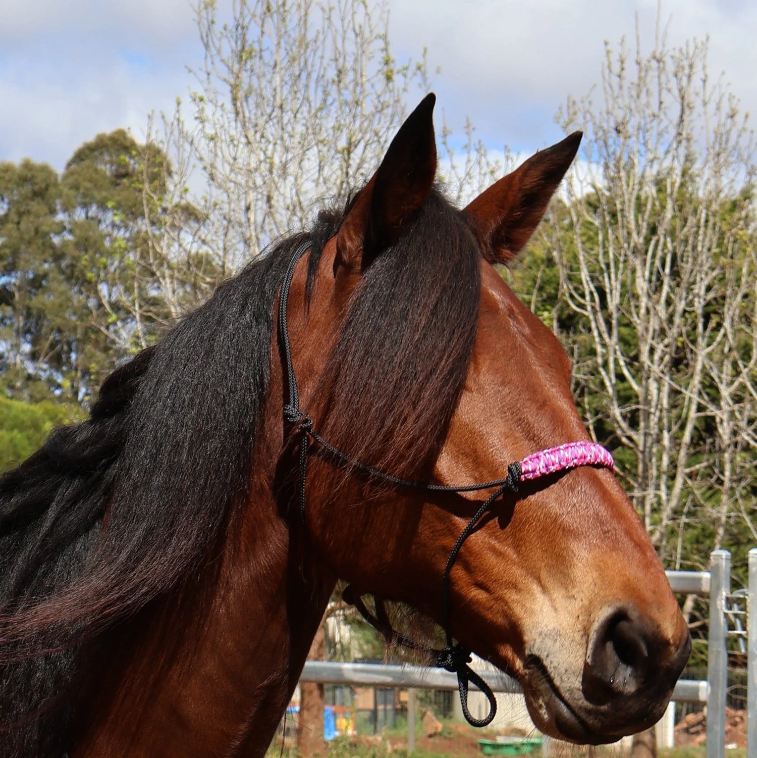 True Stiff Rope Halters - Feral Pony