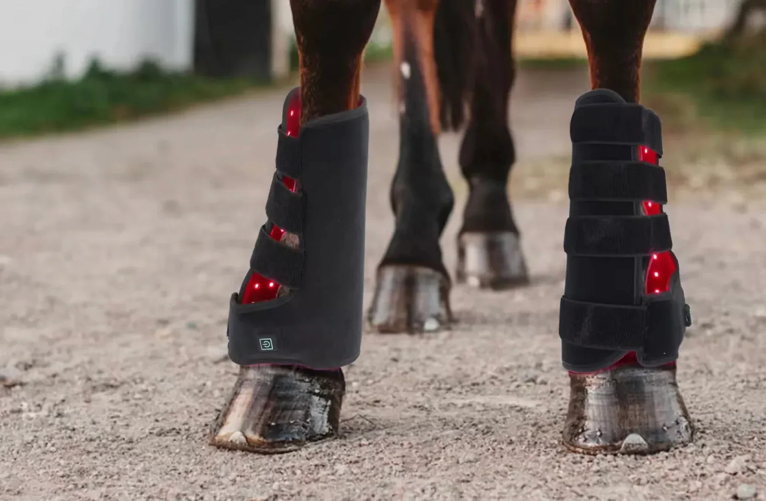 🌟🌟SALE ON NOW🌟🌟 LED Light Therapy 🌟🌟 - Feral Pony
