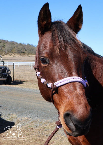 Brown & Lilac Rope Halter with Silver Beads