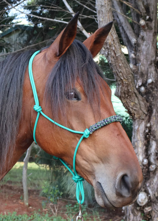 Green Rope Halter with Green & Purple Braid 💚💜 - Feral Pony