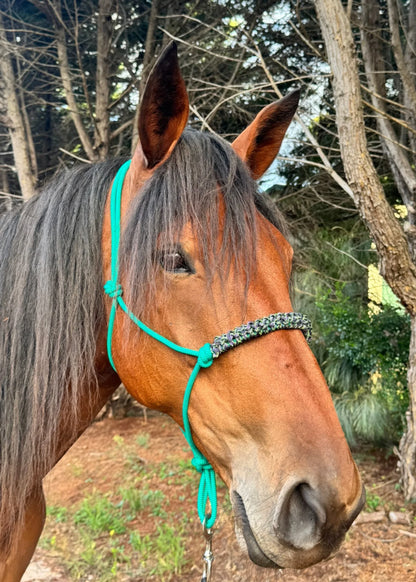 Green Rope Halter with Green & Purple Braid 💚💜 - Feral Pony