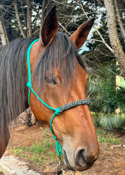 Green Rope Halter with Green & Purple Braid 💚💜 - Feral Pony