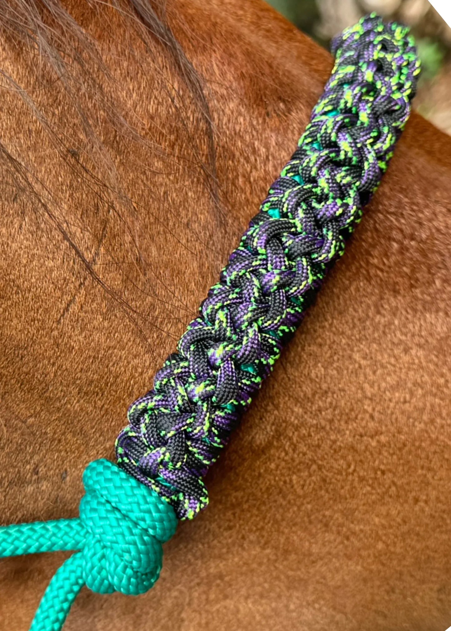 Green Rope Halter with Green & Purple Braid 💚💜 - Feral Pony