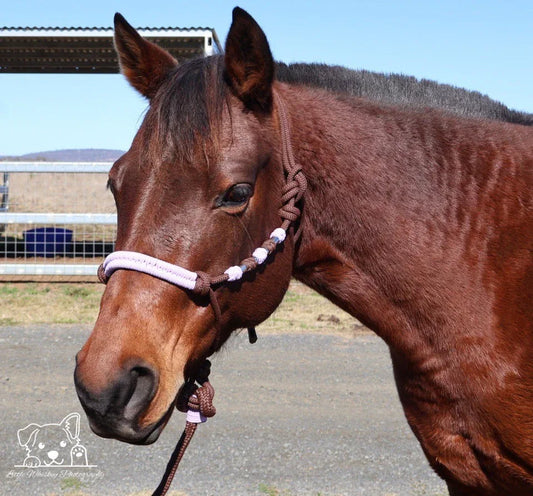 Brown & Lilac Rope Halter - Feral Pony