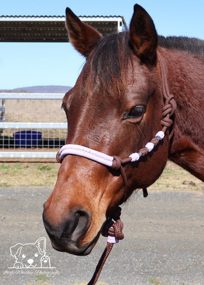 Brown & Lilac Rope Halter with Silver Beads
