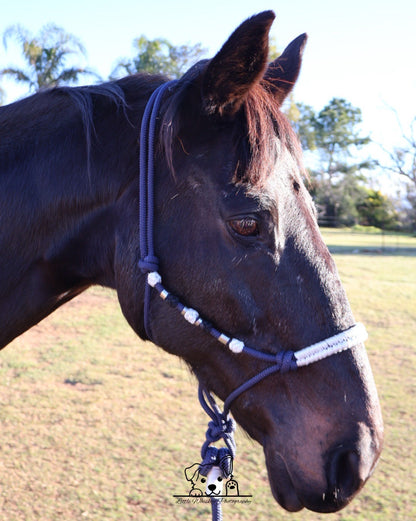 Navy & White Rope Halter with Silver Beads