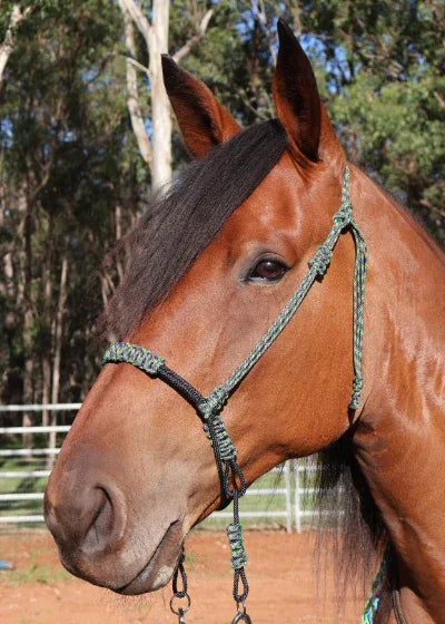 Indian Bosal - Green & Black - One Off Piece - Feral Pony