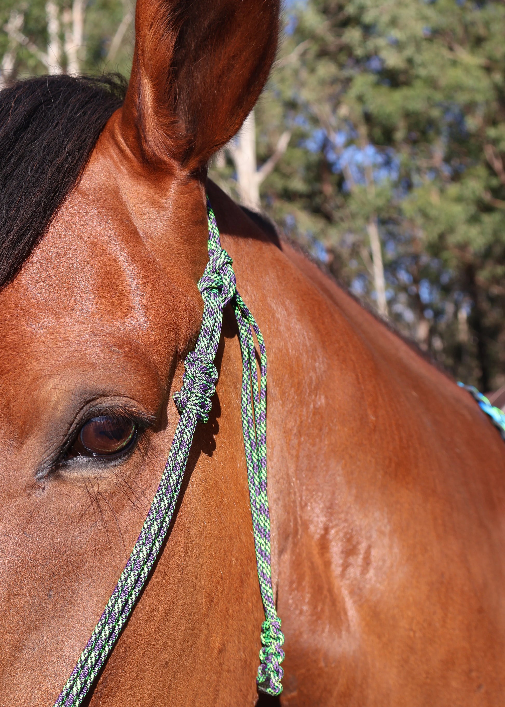 Indian Bosal - Green & Black - One Off Piece - Feral Pony