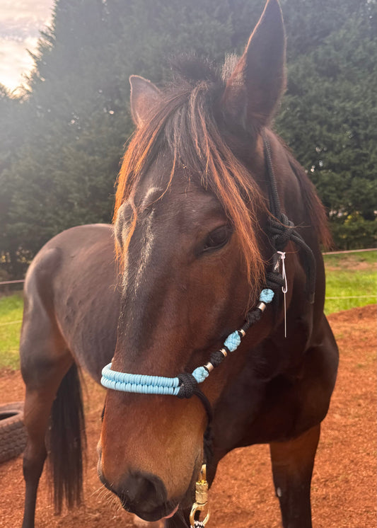 Black & Light Blue Rope Halter with Silver Beads