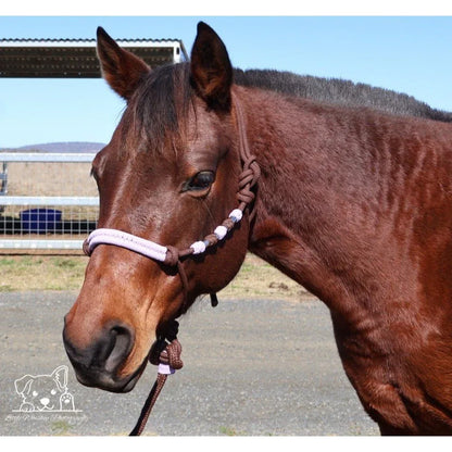 Brown & Lilac Rope Halter - Feral Pony