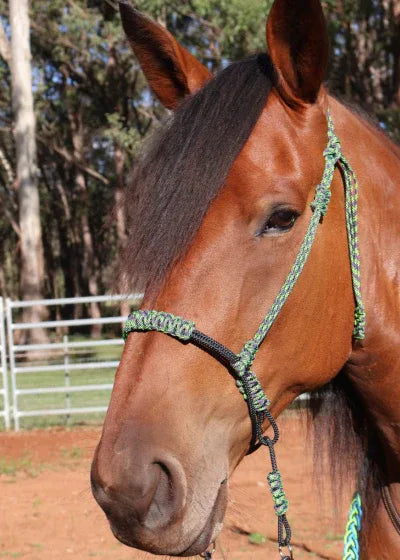 Indian Bosal - Green & Black - One Off Piece - Feral Pony