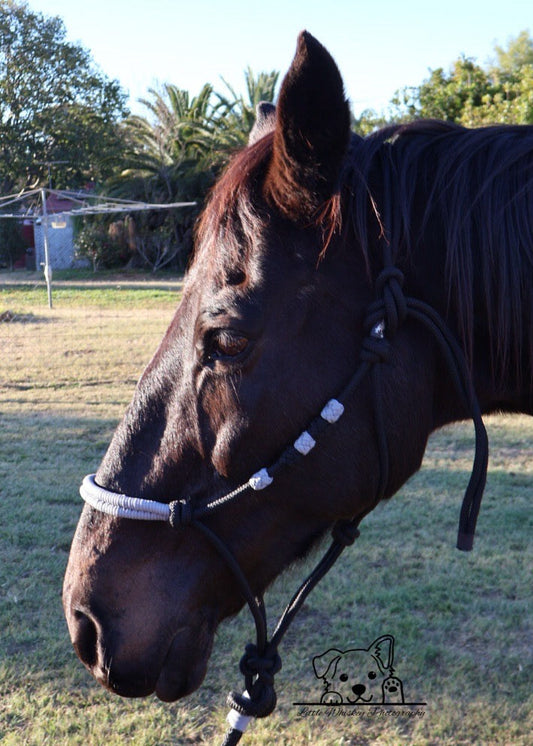 Black & Grey Rope Halter