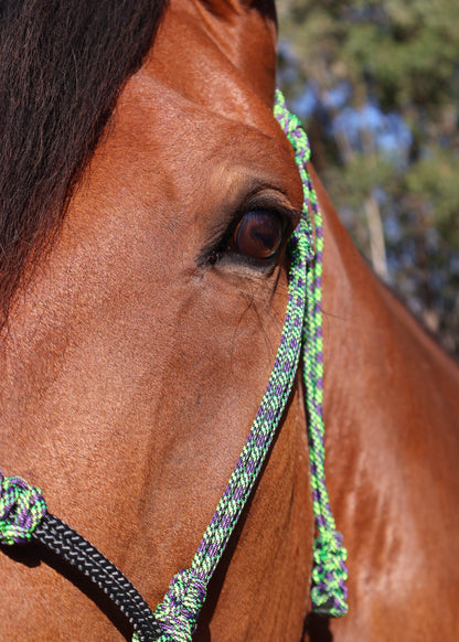 Indian Bosal - Green & Black - One Off Piece - Feral Pony