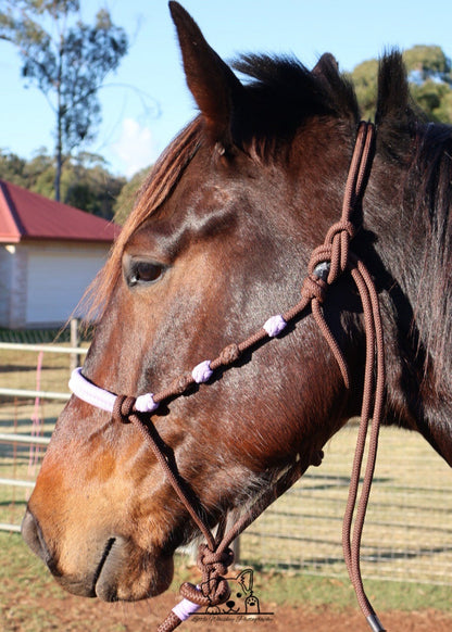 Brown & Lilac Rope Halter