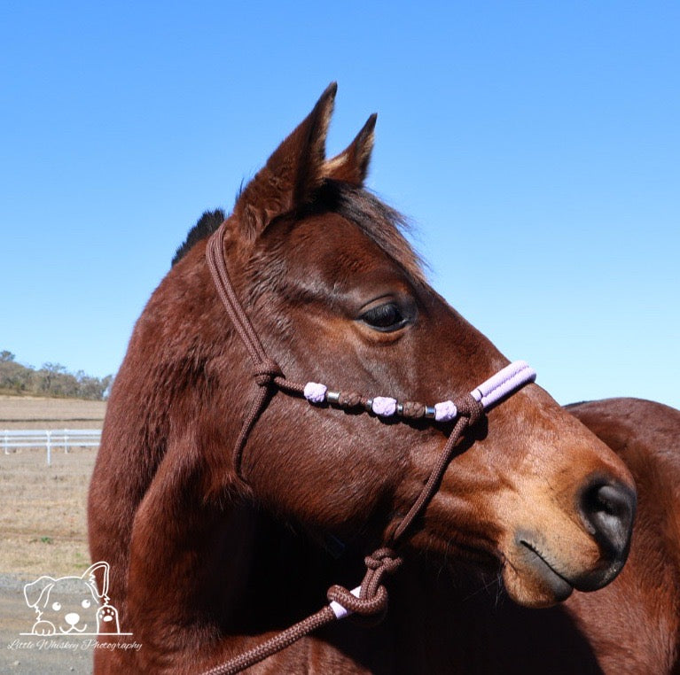 Brown & Lilac Rope Halter with Silver Beads