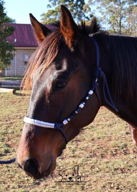 Navy & White Rope Halter with Silver Beads