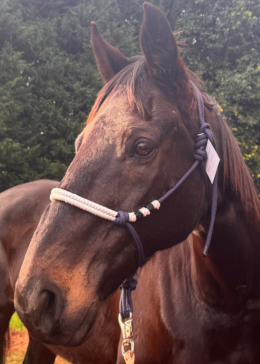 Navy & White Rope Halter