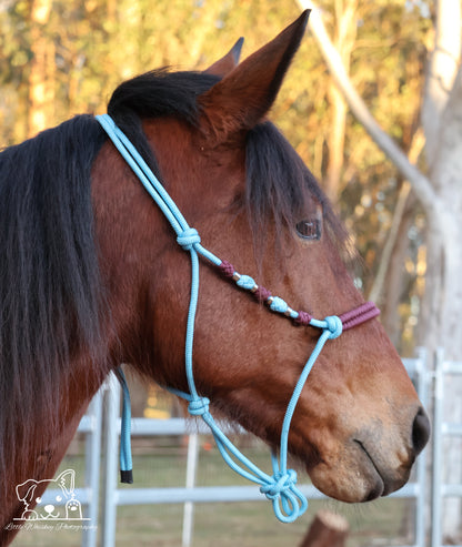 Light Blue & Brown Rope Halter with Silver Beads