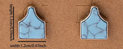 Turquoise Cattle Tag Earrings