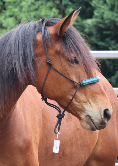 Black Halter with Light Blue & Green Nose Braid 💚🩵💚 - Feral Pony