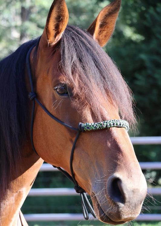 Black Rope Halter with Green & Purple Braid 💚🩵 - Feral Pony