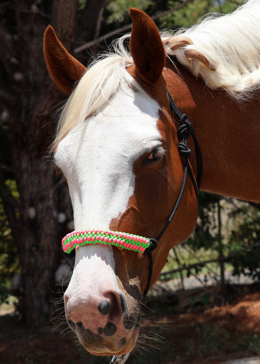 True Stiff Halter with Neon Pink & Neon Green Braid - Feral Pony