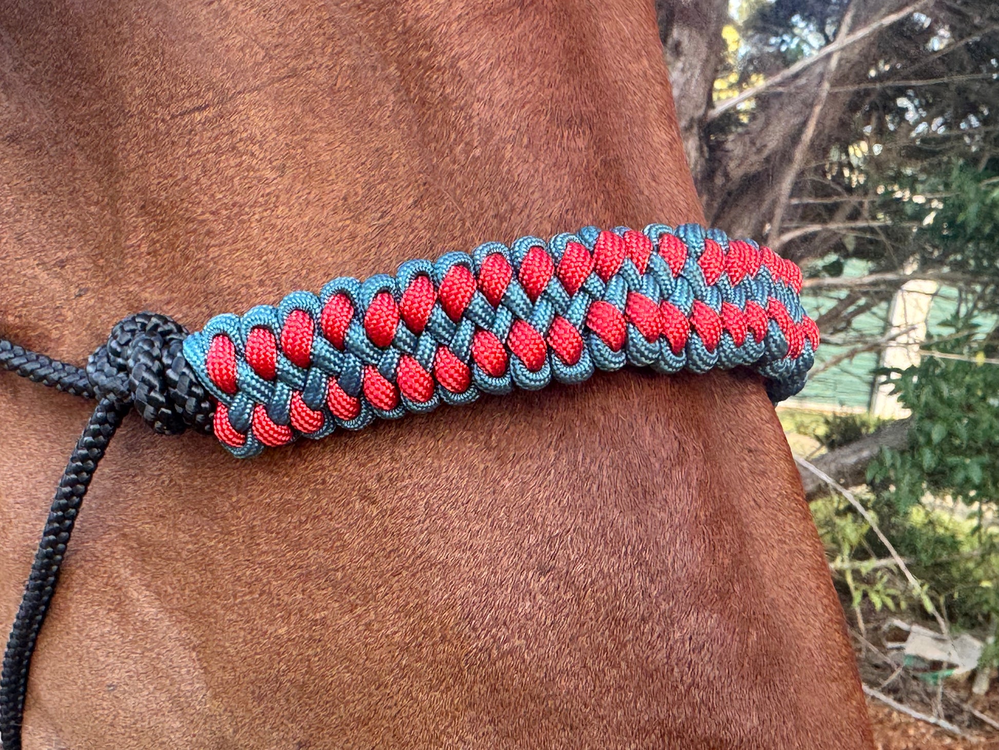 True Stiff Halter Dark Teal and Burnt Orange Braid - Feral Pony