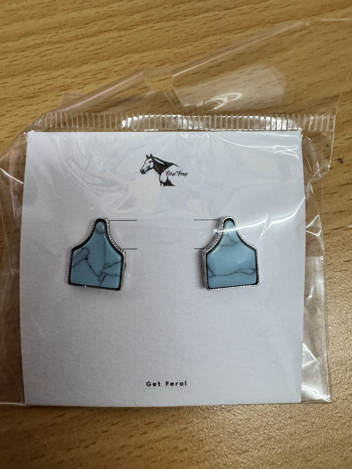 Turquoise Earrings