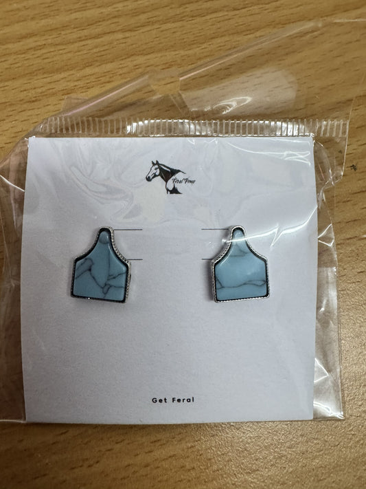 Turquoise Earrings