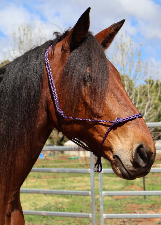 Custom Made Halter - Black & Purple Lattice