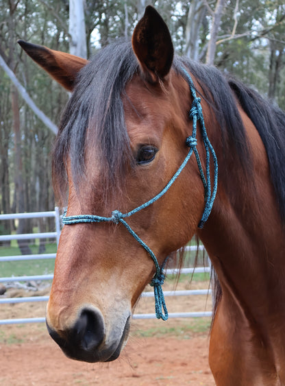 Custom Made Halter - Mottled Black & Aqua